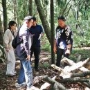 플렌티숲 이미지