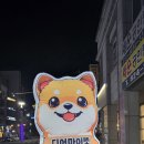 디어마이펫 이미지