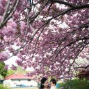 만수노인복지원 이미지