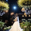(주) 디아이 | W16. 대전 아이폰스냅 디아이아몬드 :: 대전ICC웨딩홀 아이폰스냅 추천 :: 어두운 홀 아이폰스냅 본식 후기
