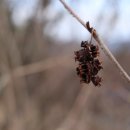 나무요양병원 이미지