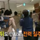 고등어식당 네이버블로그