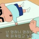 푸른햇살