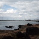 신창1 발전소 이미지