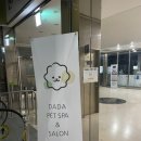 다다펫스파 네이버블로그