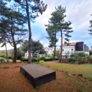 프렌치 비자림 이미지