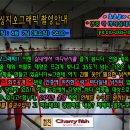 안중락실내바다낚시터 이미지
