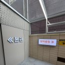 아이맛나 | 영등포 김안과 백내장 수술 당일 후기 (feat.백내장 주의사항 및 수술 후 필수템 소개)