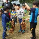 교암초등학교 이미지