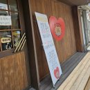 떰즈업 | [서울/망원] 투떰즈업 평일 후기✨️ (맘모스, 베이글)