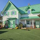 고성하얀나무집 | 강원 고성 감성 카페 앤트리카페 방문기｜분위기 끝내주는 내돈내산 후기