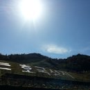 행정사이상대 이미지