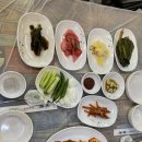 삼복농장 | 안양 삼덕공원 맛집 안양삼계탕 이동훈 옻닭백숙, 옻오리 보양식 먹은 후기