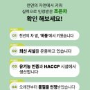 조은날조은커피 | 고급티 선물 세트 동천 조은차 물대용차 액상 3종 세트