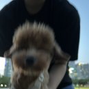 현성오토바이