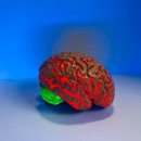 인지건강(치미예방) 이미지