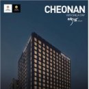 피렌체신라