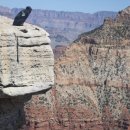 &#34;홍하사의 잡다한이야기&#34;---(1414) &#34;건강 이야기&#34;---(276) (오이가 이렿게 좋은 줄~) &amp; (당구 이야 기) 이미지