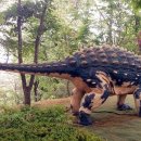 미호박물관 이미지