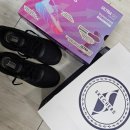 스케쳐스엔씨 | 스케쳐스 맥스쿠셔닝 엘리트 2.0｜10km·5km 러닝·마라톤용 가성비 러닝화 추천
