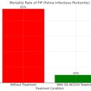 석 동물병원 이미지