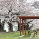 덕치경로당 이미지