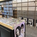 달마사진관 네이버블로그