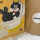 미오미오 고양이분양 이미지