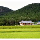 동백골한옥민박 이미지