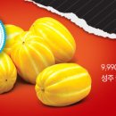 홈플러스스토어즈(주)