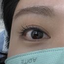 판교역 다이아코스메틱 속눈썹 펌 후기