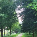 자라진천 이미지