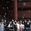 우박이네 이미지