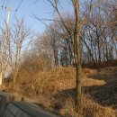 과림동주민센터 이미지