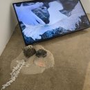 제주 전시회 2024 예술곶산양 레지던시 입주작가 4기 결과보고전 예술곶04 지속의순간