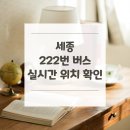 보람동_보람초등학교 앞 정류장 | 세종 222번 버스 노선 실시간 위치 알아보기 [대법원등기정보센터 ↔ 새나루마을1단지]