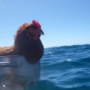 두배로마트 이미지