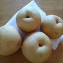 김영일 농장 이미지