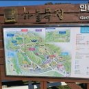 하늘애견 이미지