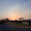 묘한향기 이미지