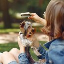 유지네 애견미용샵 이미지