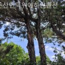 언덕위에 하얀펜션 | 충남금산 깔끔 펜션추천! 대둔산언덕위에하얀펜션 짧은 여행에 추천해요