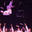 신나는하늘땅태권도 이미지