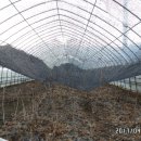 원이네 하우스 이미지