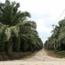 포커스에너지 이미지