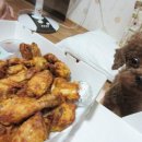 뿅뿅치킨 Daum카페