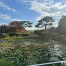 미래부-화성시 우리꽃식물원_1~4(옥외4) | 화성 아이랑가볼만한곳 우리꽃식물원｜아이와 함께 걷는 따뜻한 힐링 산책로