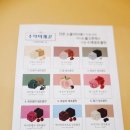 체리콕콕 | 수확의계절 수제생초콜릿 | 수제생초콜릿 추천, 체리맛 먹어본 솔직후기