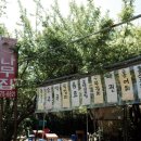 등나무집 네이버블로그