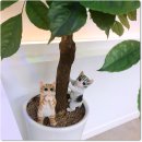 코알라당구장 이미지